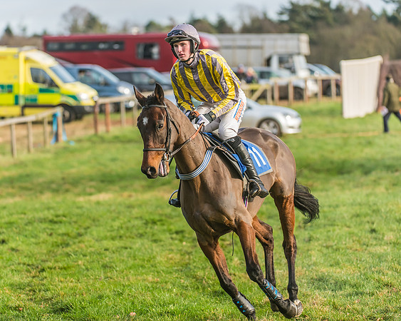 Race 2 - Open Maiden (15 of 98)