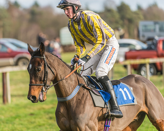 Race 2 - Open Maiden (16 of 98)
