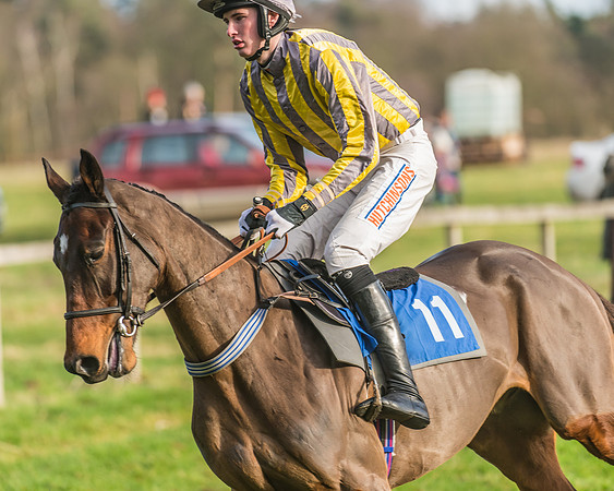 Race 2 - Open Maiden (17 of 98)