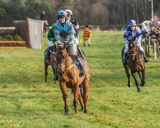 Race 2 - Open Maiden (18 of 98)