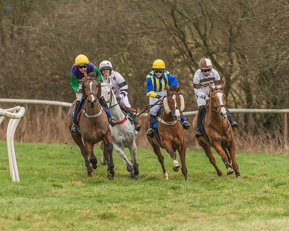 Race 3 - Mixed Open (8 of 77)
