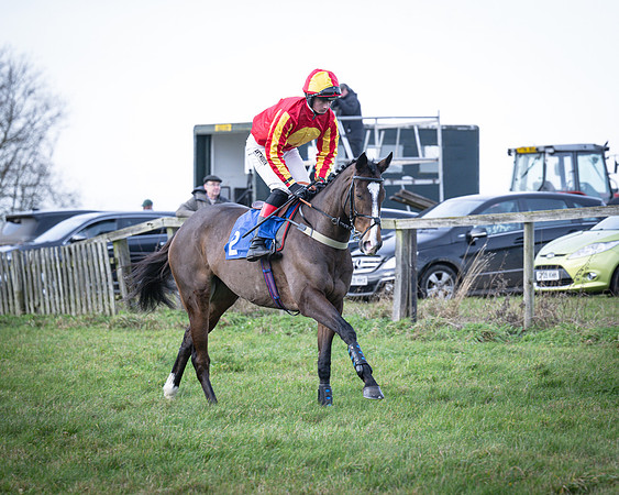 Race 2 - Maiden (39 of 145)