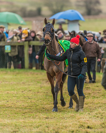 Race 6 - Novice Rider Race (3 of 118)