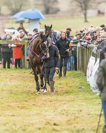 Race 6 - Novice Rider Race (9 of 118)