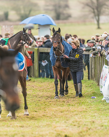 Race 6 - Novice Rider Race (12 of 118)