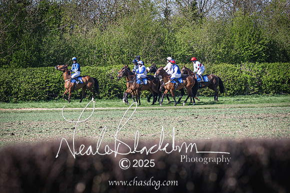 Race 6 - Veteran horse (47 of 109)