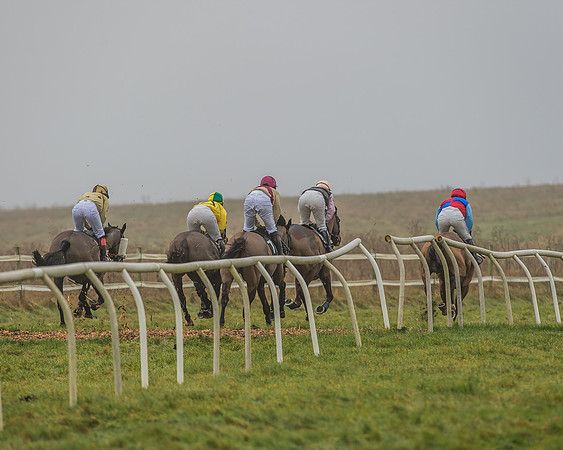 Race 2 - Ladies Open-43