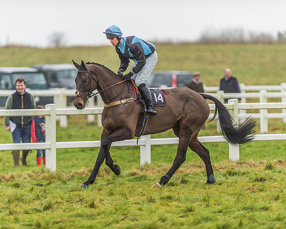 Race 3 - Open Maiden-2
