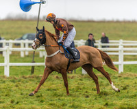 Race 3 - Open Maiden-6