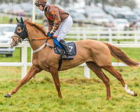 Race 3 - Open Maiden-8