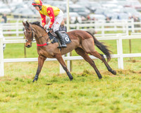 Race 3 - Open Maiden-11