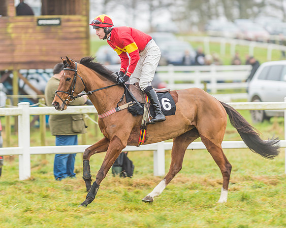 Race 3 - Open Maiden-20