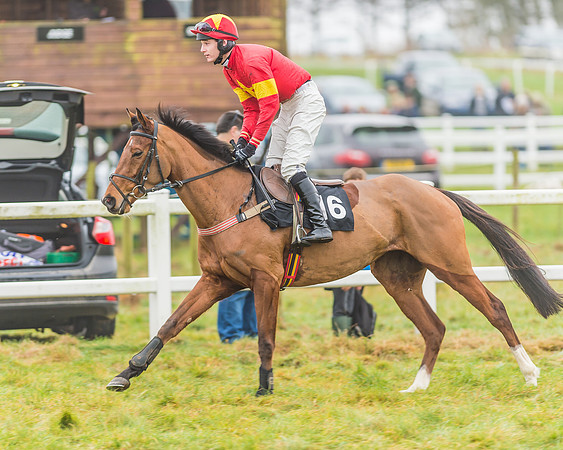 Race 3 - Open Maiden-21