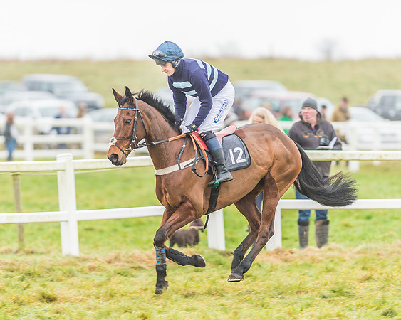 Race 3 - Open Maiden-27