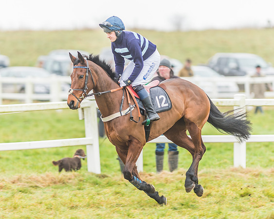 Race 3 - Open Maiden-26