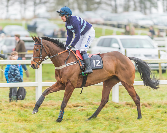 Race 3 - Open Maiden-28