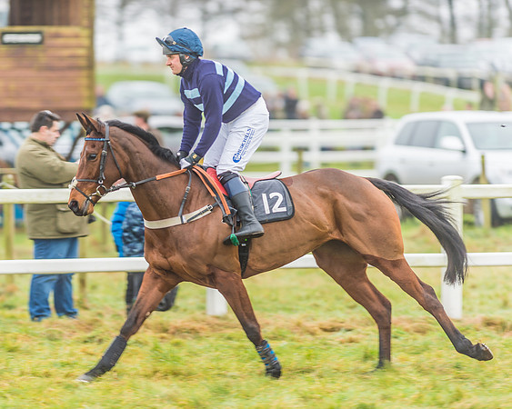 Race 3 - Open Maiden-29