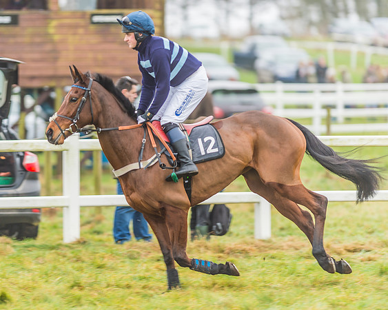 Race 3 - Open Maiden-30