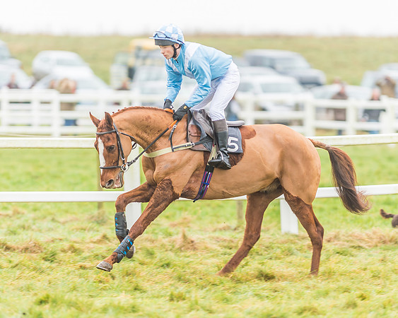 Race 3 - Open Maiden-33