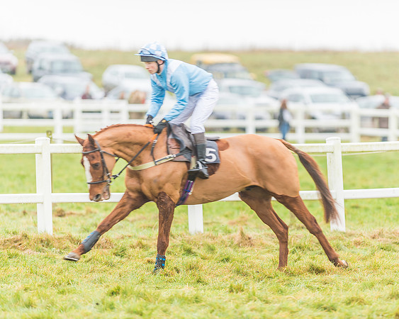 Race 3 - Open Maiden-34