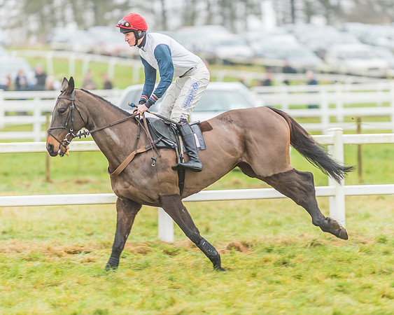 Race 3 - Open Maiden-35