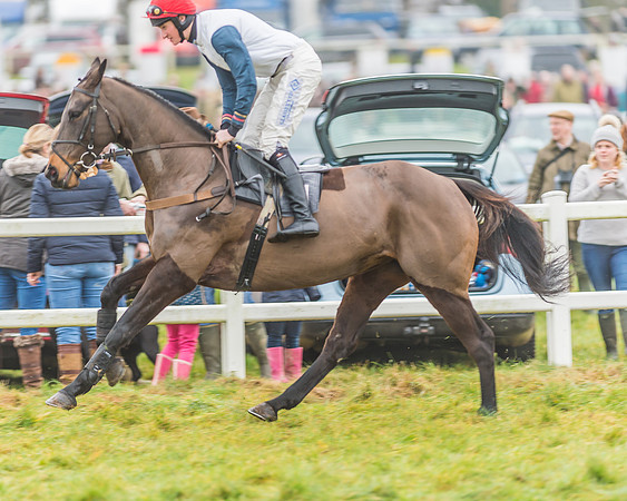 Race 3 - Open Maiden-39