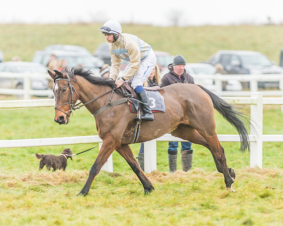 Race 3 - Open Maiden-40