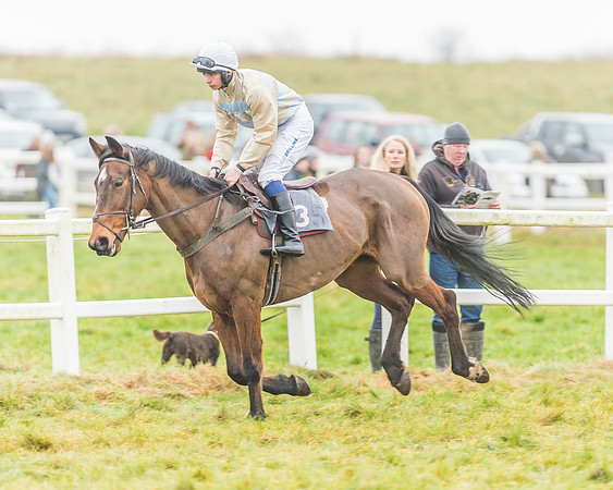 Race 3 - Open Maiden-41