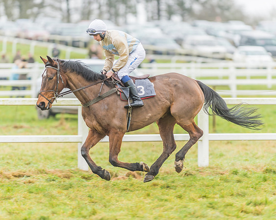 Race 3 - Open Maiden-42
