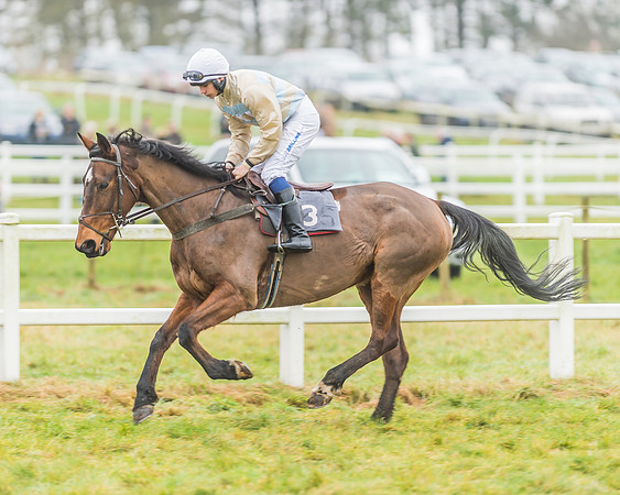 Race 3 - Open Maiden-43