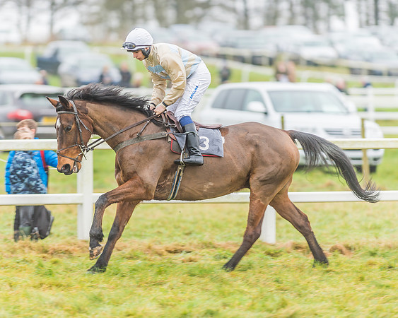 Race 3 - Open Maiden-44