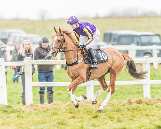 Race 3 - Open Maiden-46