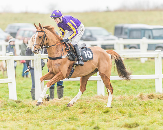 Race 3 - Open Maiden-47