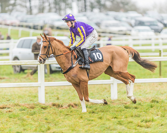 Race 3 - Open Maiden-50