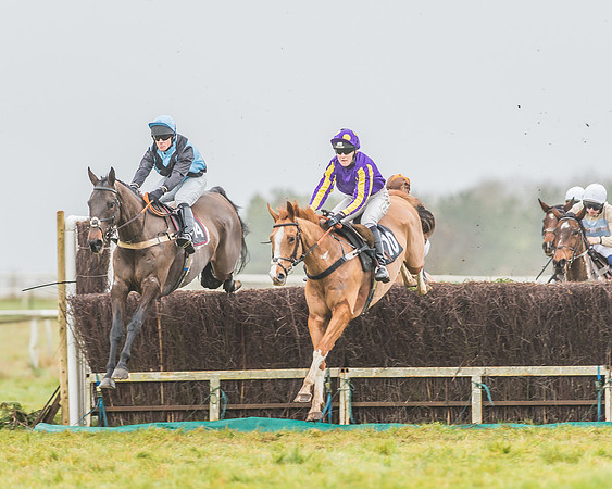 Race 3 - Open Maiden-60