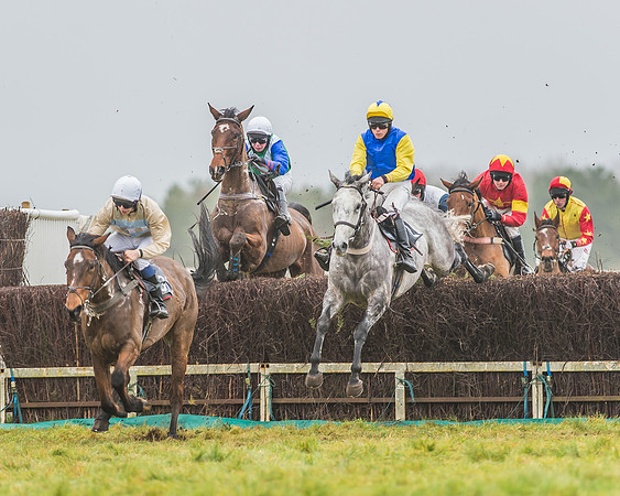 Race 3 - Open Maiden-66