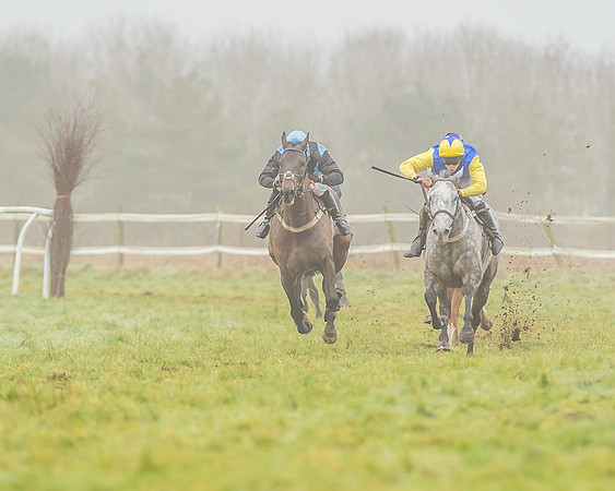 Race 3 - Open Maiden-90