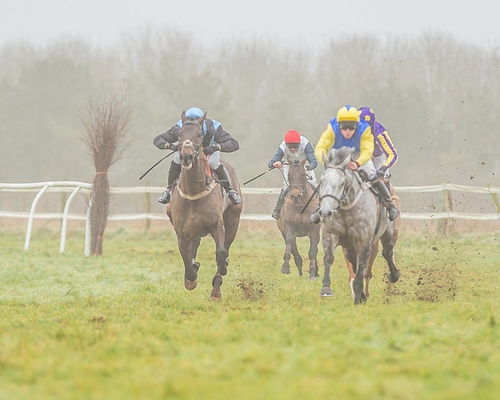 Race 3 - Open Maiden-96