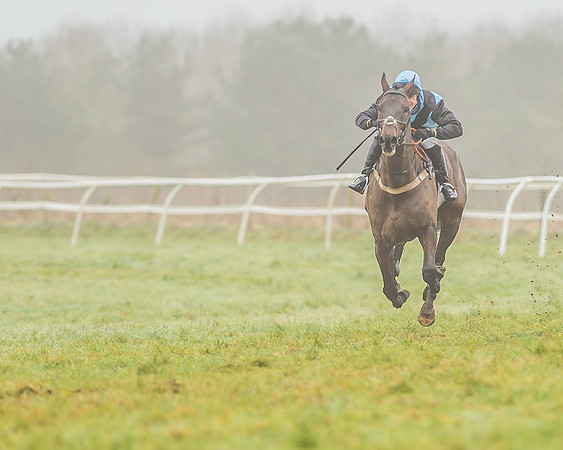Race 3 - Open Maiden-107