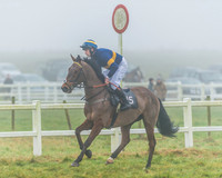 Race 5 - Restricted-3