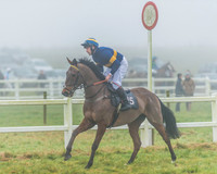 Race 5 - Restricted-4
