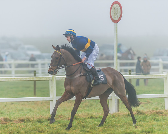 Race 5 - Restricted-4