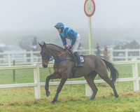 Race 5 - Restricted-6