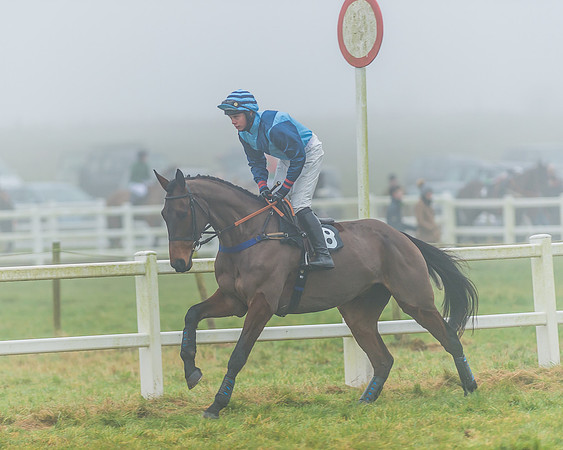 Race 5 - Restricted-6