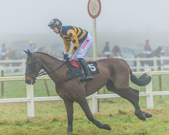 Race 5 - Restricted-8