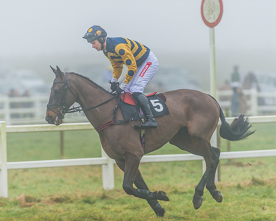 Race 5 - Restricted-9