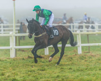 Race 5 - Restricted-13