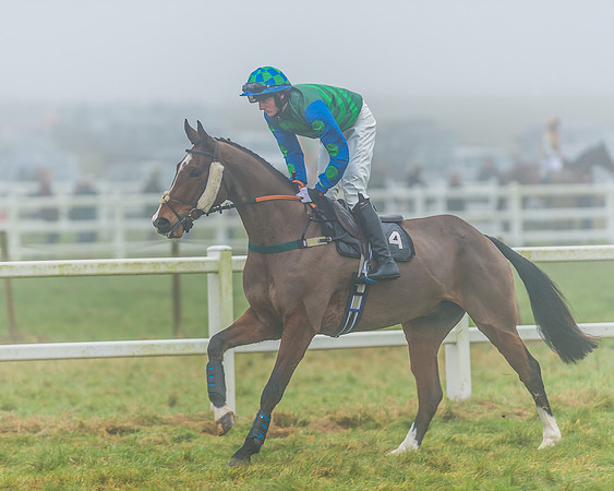 Race 5 - Restricted-18