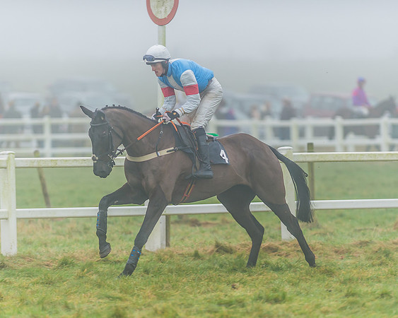 Race 5 - Restricted-19