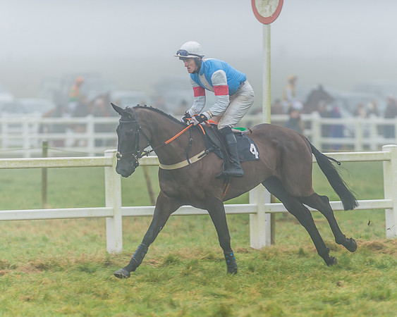 Race 5 - Restricted-20